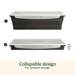 XL Collapsible Marinade Container